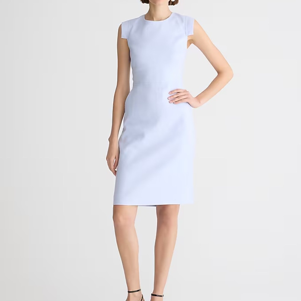 J. Crew Resume Dress